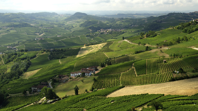 vinařská oblast laghe nebbiolo