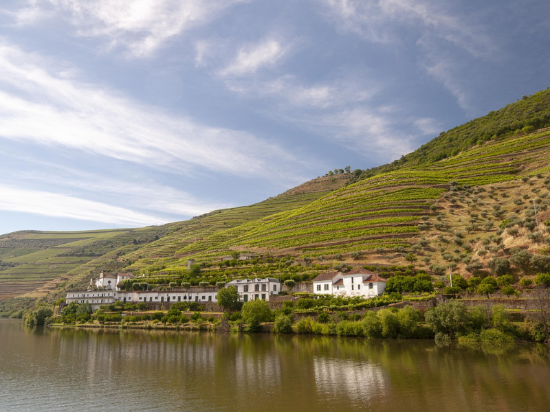 Douro, domov portského