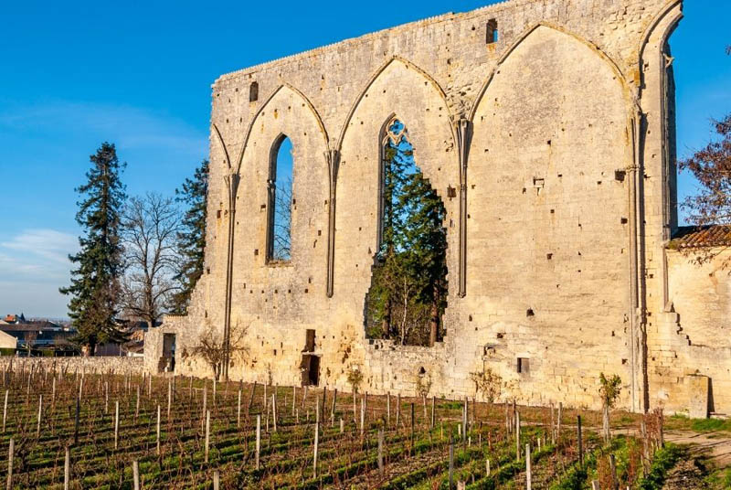 Historie vína: klášter