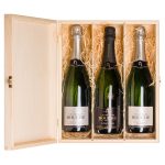 Pro milovníky Champagne: 3× archivní šampaňské