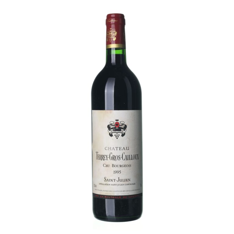 1995 Saint-Julien Cru Bourgeois Chateau Terrey-Gros-Cailloux