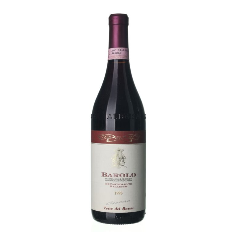 1995 Barolo Terre del Barolo