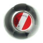 2021 Rulandské bílé / Pinot Blanc Reserva Weingut Hirtl