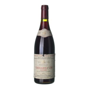 1993 Pommard Premier cru Domaine A. Routeau-Mignon