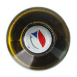 2023 Ryzlink rýnský / Riesling Pozdní sběr Za Cihelnou Mikrosvín Mikulov