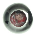 1978 Hospices de Beaune Savigny les Beaune