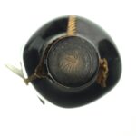 1976 Dolcetto d´Alba L. Bertolo