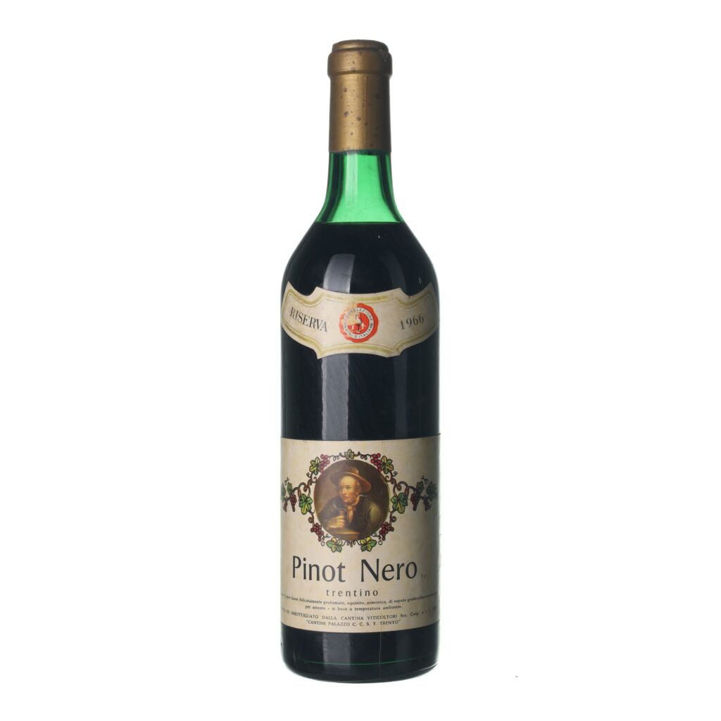 1966 Rulandské modré / Pinot Noir Riserva Cantine Palazzo