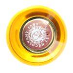 2020 Sauternes Grand Cru Chateau d'Arche 0,375 l