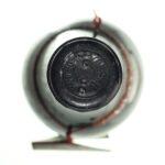 1966 Recioto della Valpolicella Listón