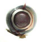 1970 Barolo Riserva Tenuta Cerequio