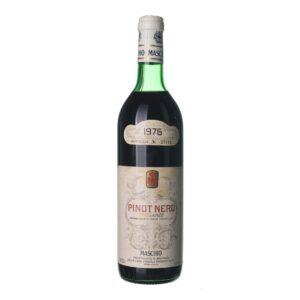 1976 Pinot Noir Maschio