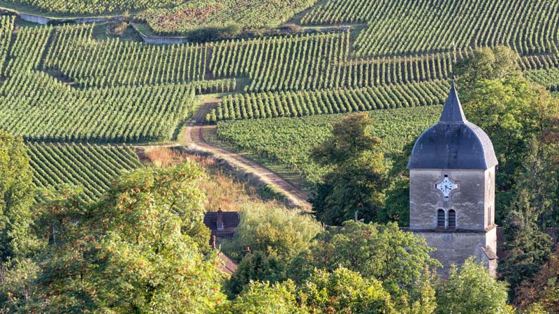 Pomerol je domovom jedného z najlepších vín na svete.