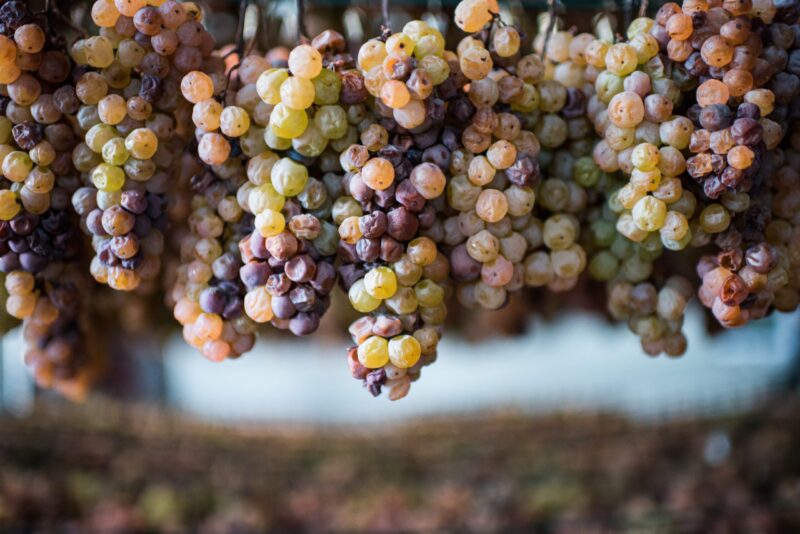 Siarczyny w winie unieszkodliwiają dzikie drożdże, które naturalnie występują w winogronach.
