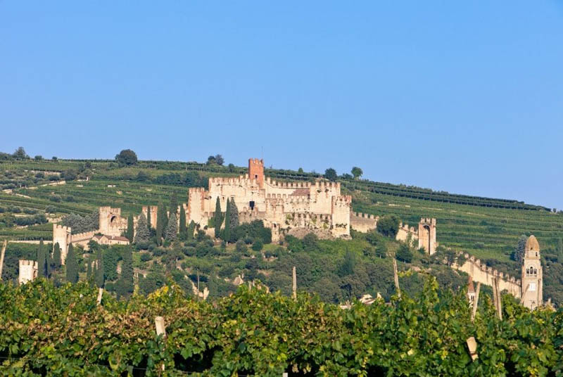 region Soave